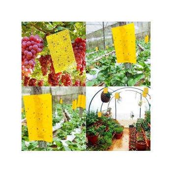 Żółte Lepy na Owady 10SZT 20x10cm