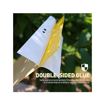 Tablice lepowe żółte A4 na nasionnicę trześniówkę